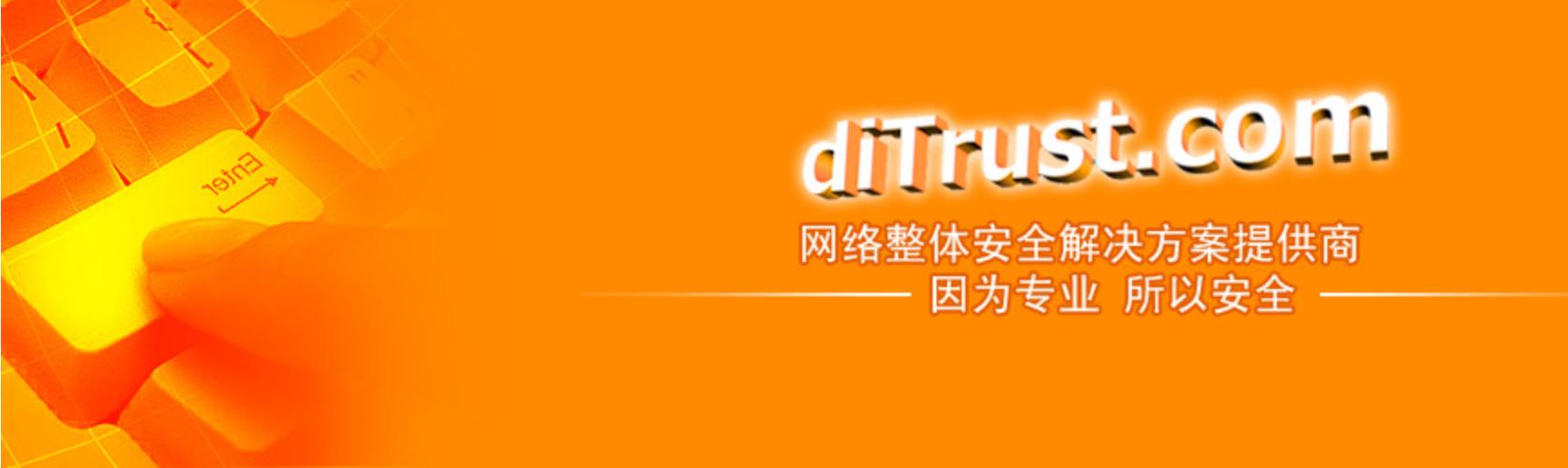 重庆迪川科技